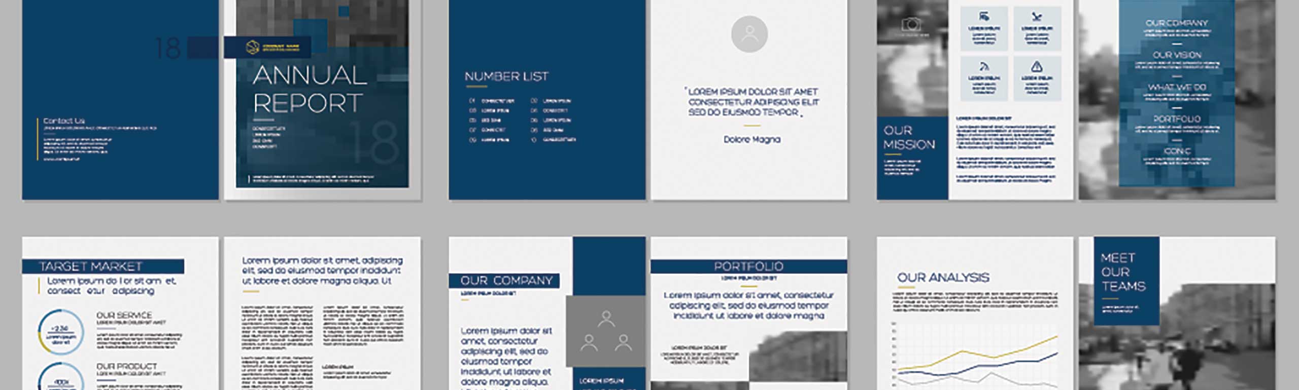 Professional Graphic Design Services Argentina - HLA Hispano Language Advisory Company